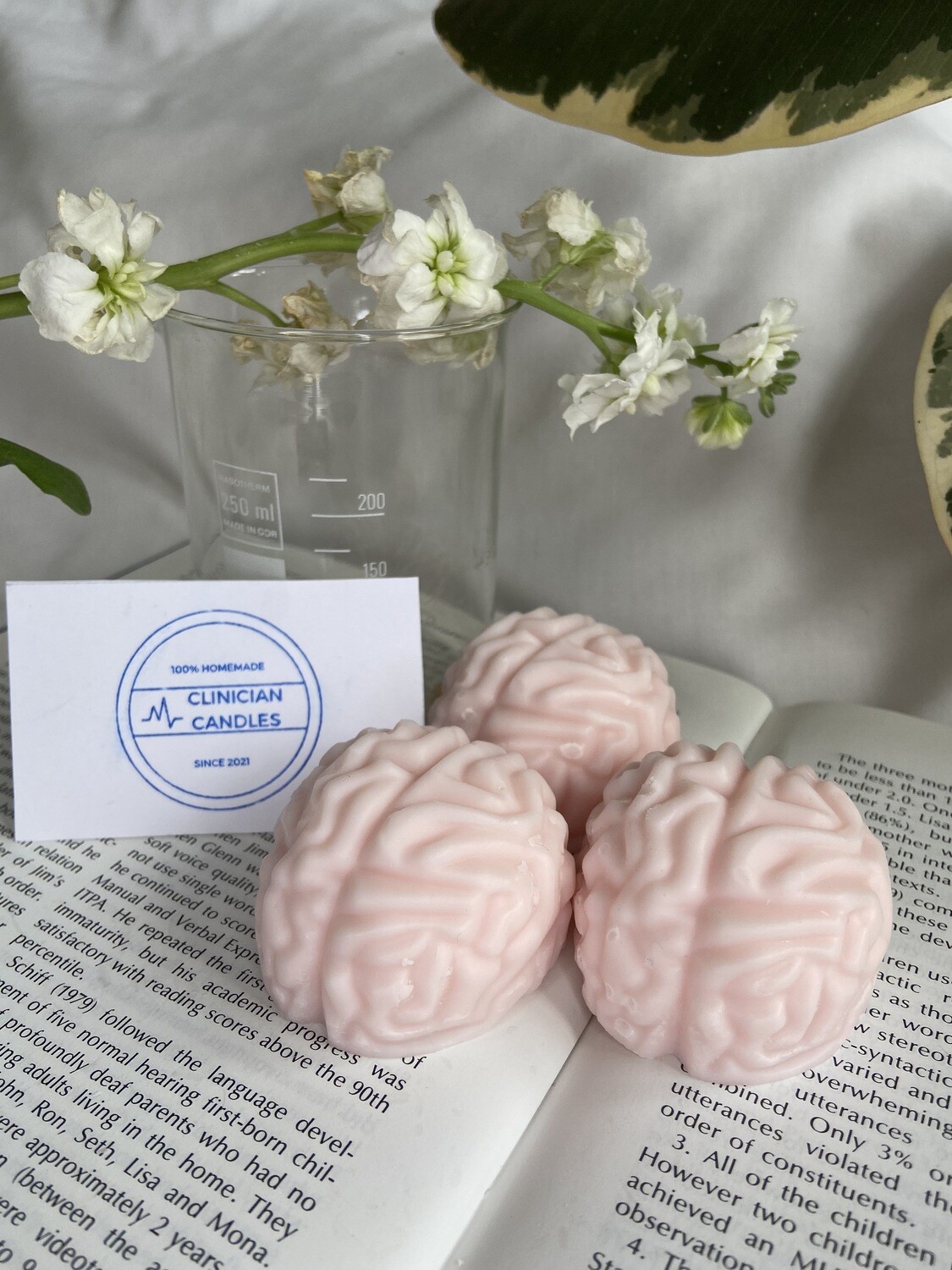Brain Bundle