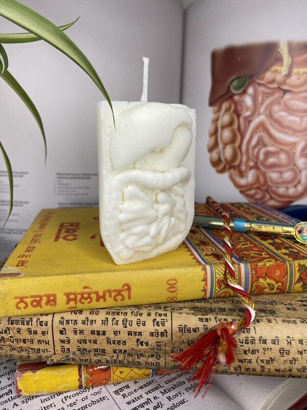 Gastroenterology Soy Wax Candle