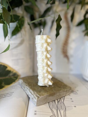 Spinal Column Soy Wax Candle