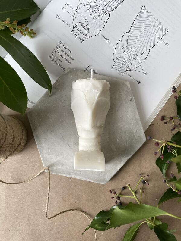 Larynx Soy Wax Candle