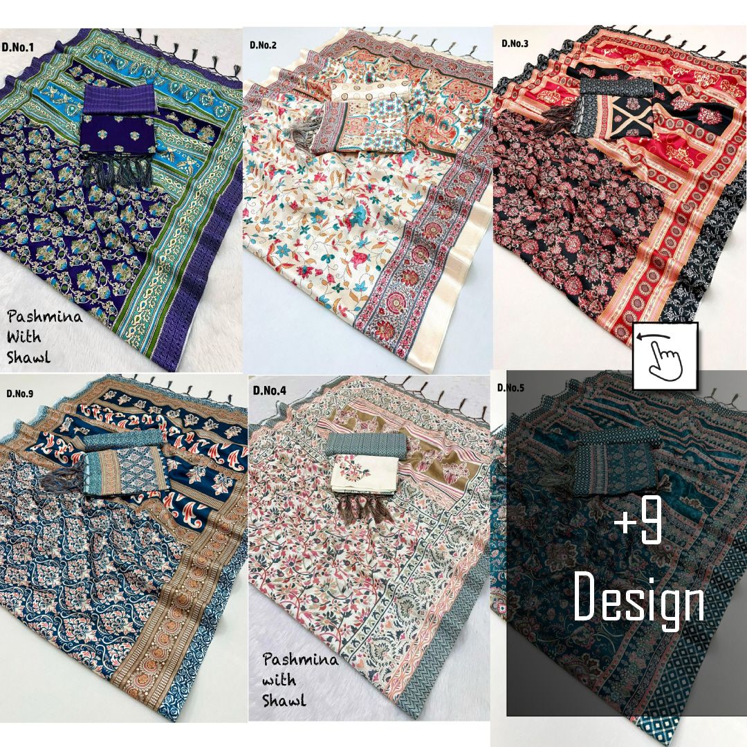 Pashmina Kashmiri Saree With Winter Shawl Set | Citizenalley