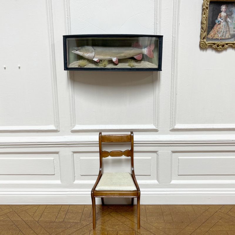 Trophy fish in case Trophy fish in case