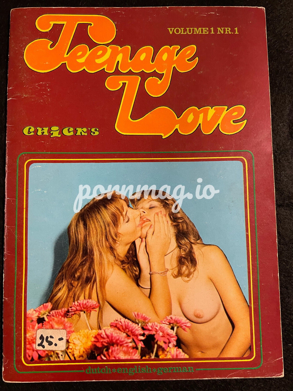 Chick Teenage Love 01