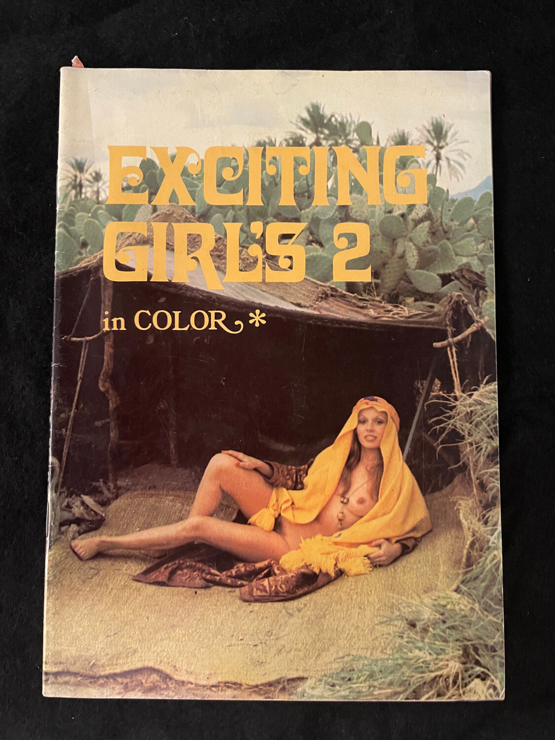 Exciting Girls 2