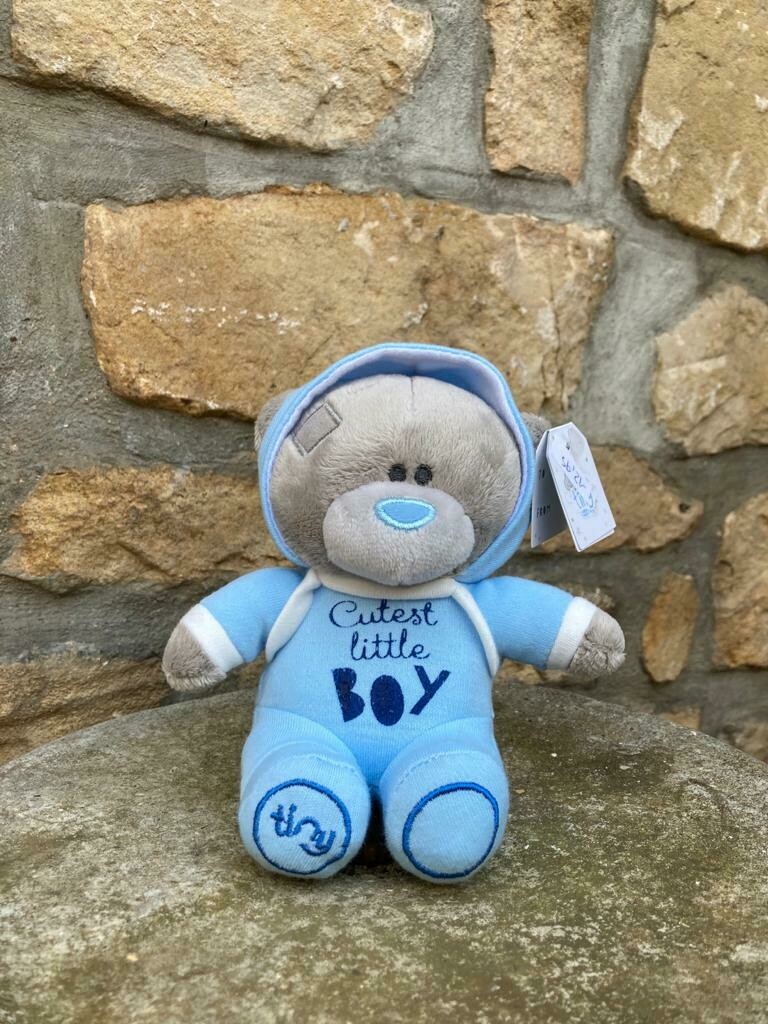 It's a Boy Teddy