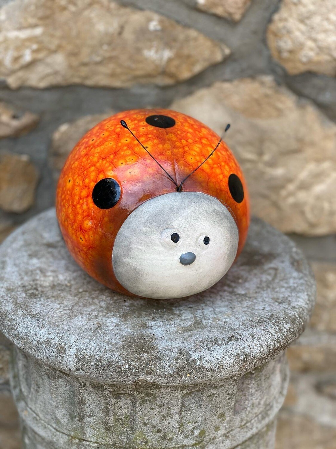Ladybug
