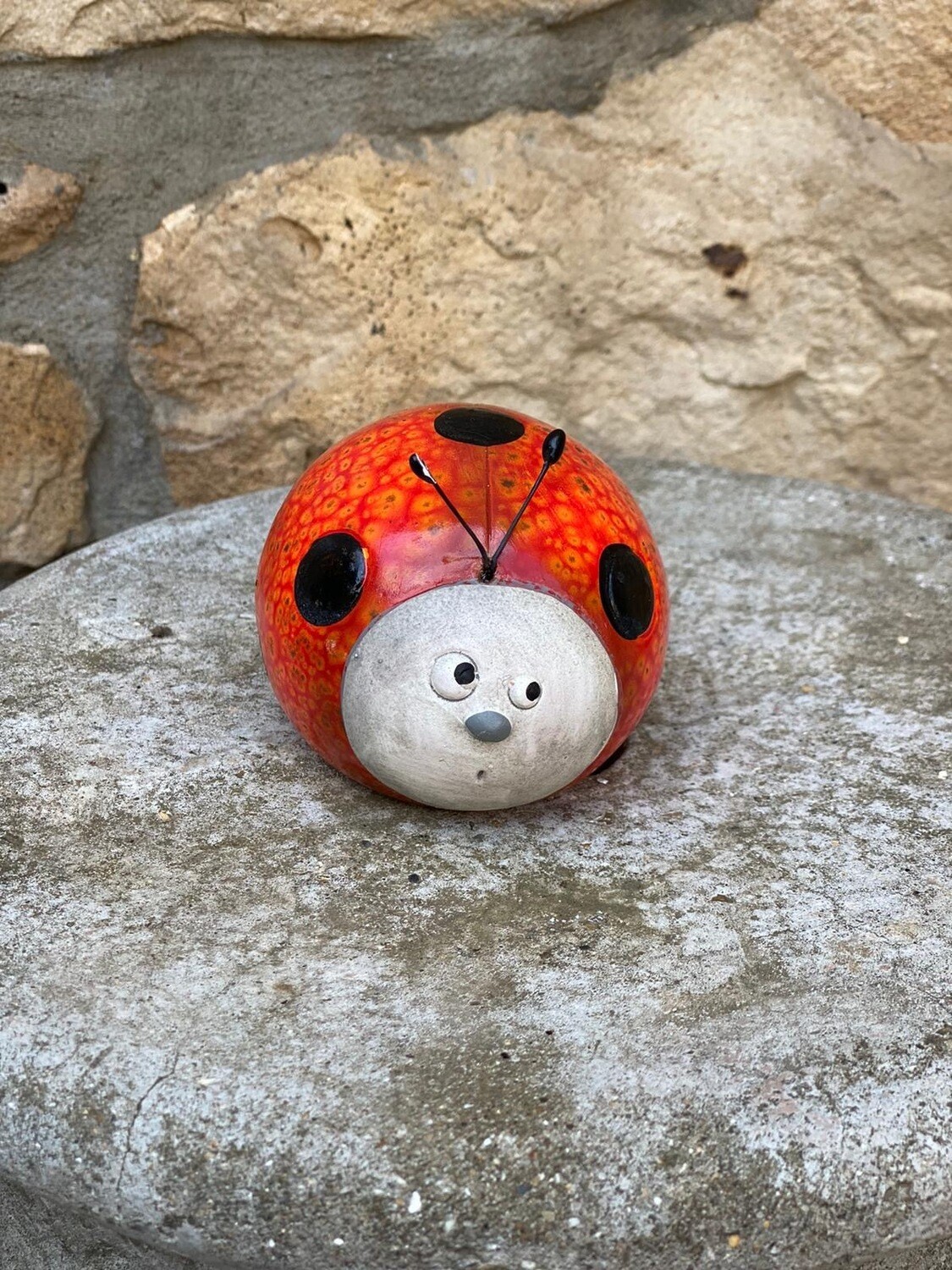 Mini ladybug