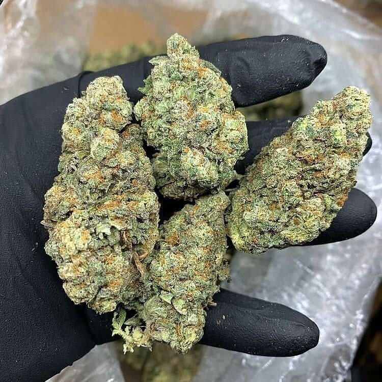 OG Kush