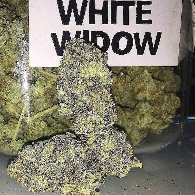 White Widow Kush
