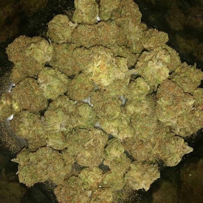 Blue Berry Kush