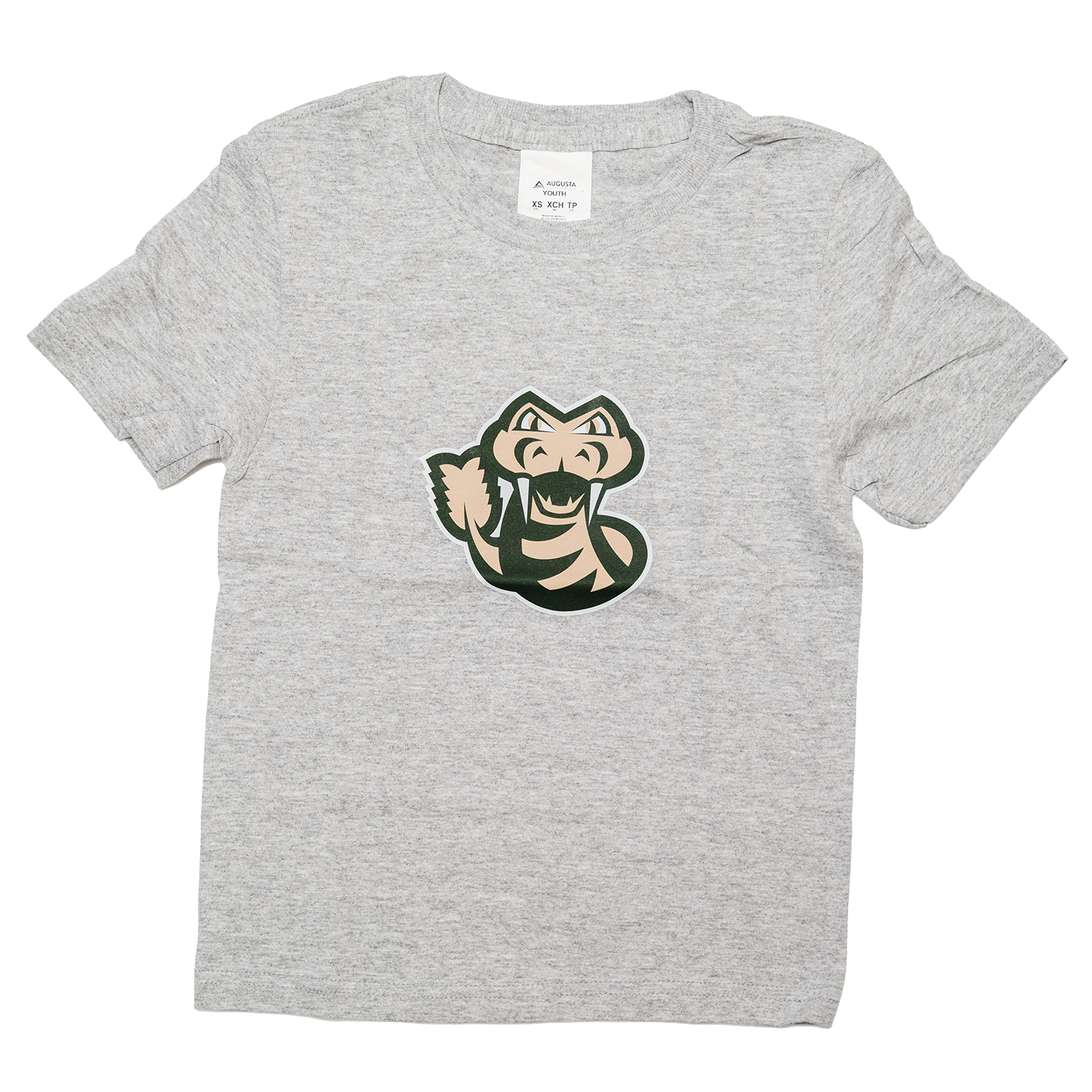 Youth Icon Logo Grey Tee