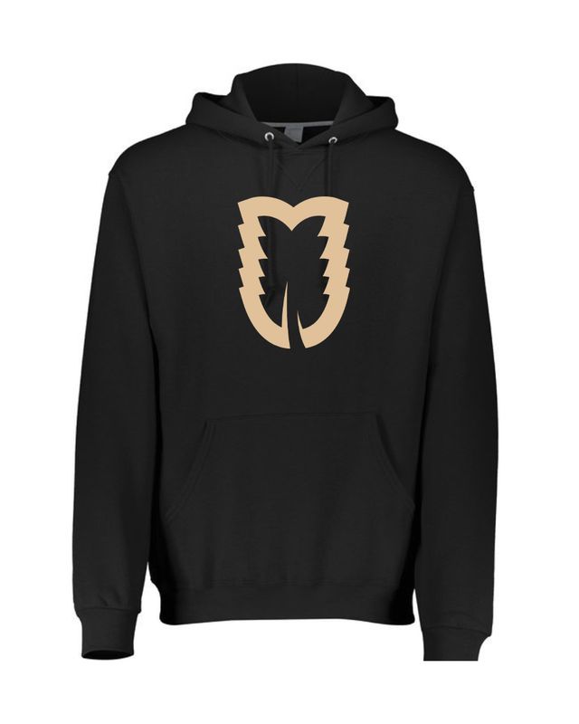 Alternate Logo Black Hoody