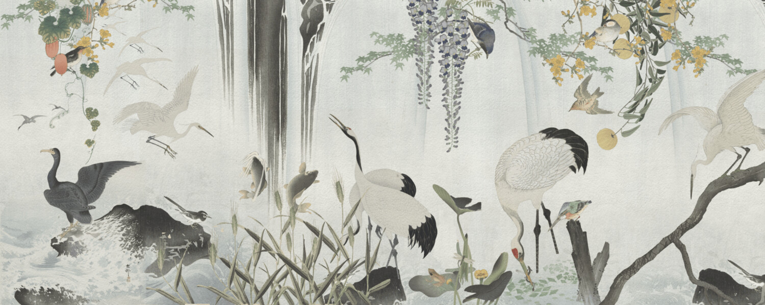YANAGAWA €45m2