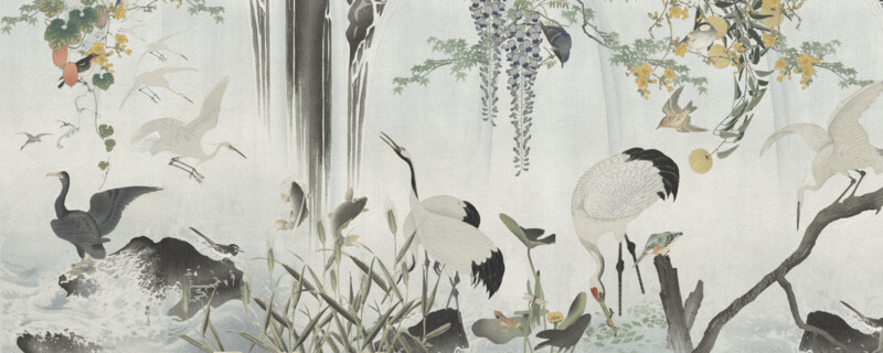 YANAGAWA €45m2