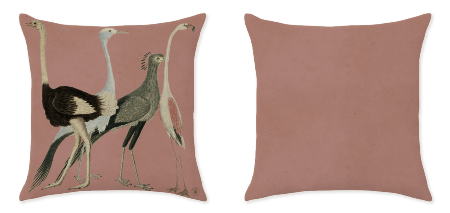 IBIS PARADE PINK CUSHIONS