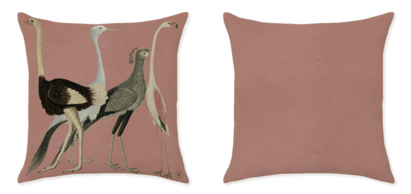 IBIS PARADE PINK CUSHIONS