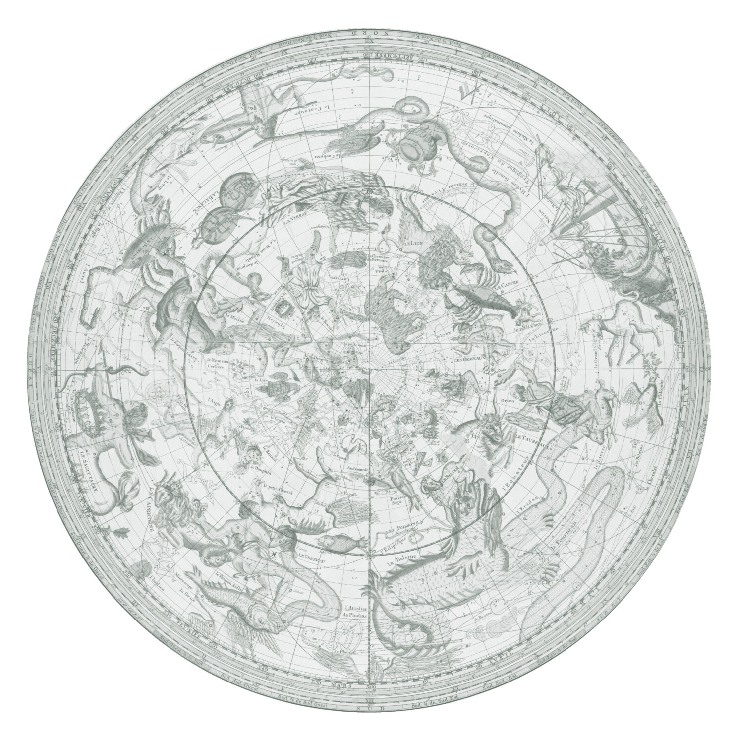 STAR CHART GREEN CEILING/WALL STICKER