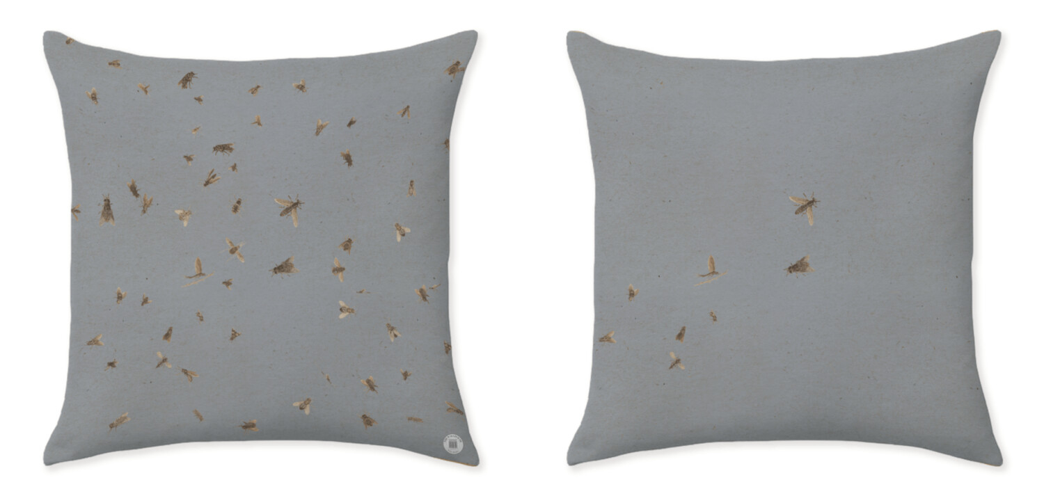 HONEY BLUE CUSHIONS