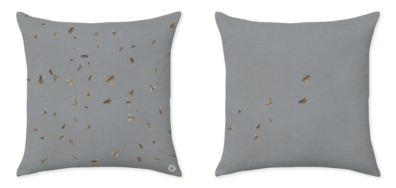 HONEY BLUE CUSHIONS