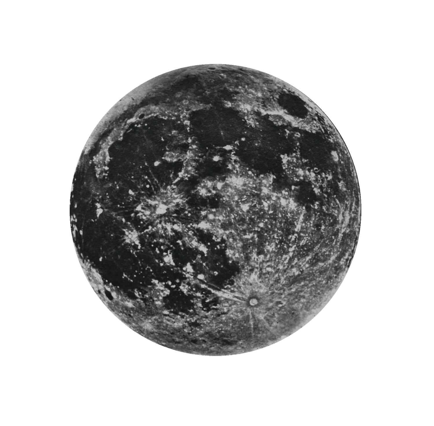 WISH MOON BLACK CEILING/WALL STICKER ℗