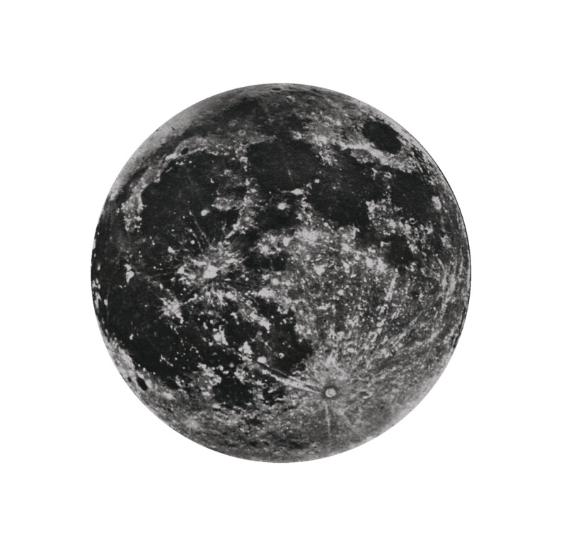 WISH MOON BLACK CEILING/WALL STICKER ℗