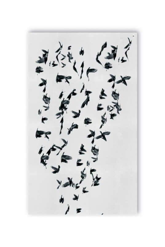 THE BIRDS WHITE TABLECLOTH