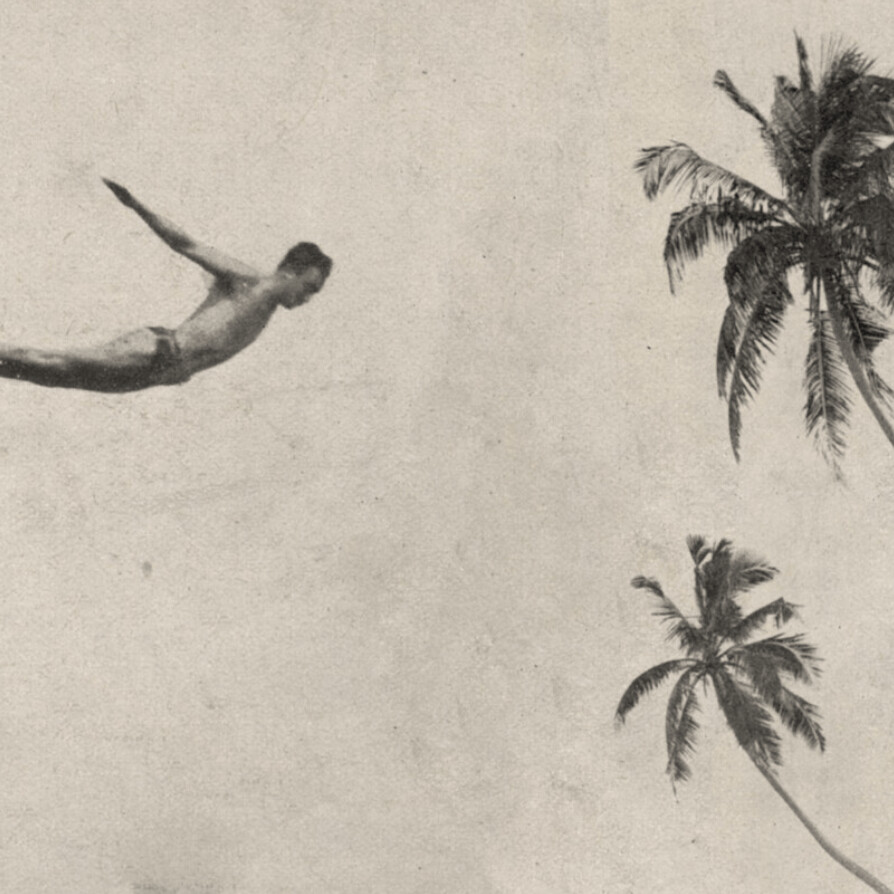 DIVER - €45m2