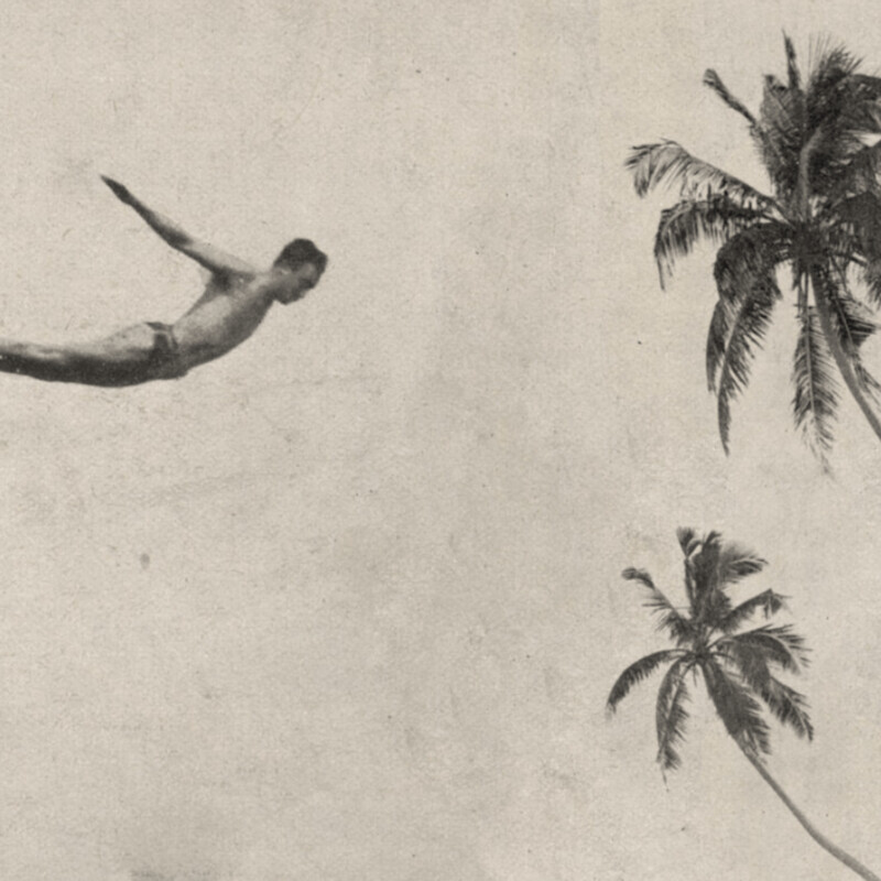DIVER - €45m2
