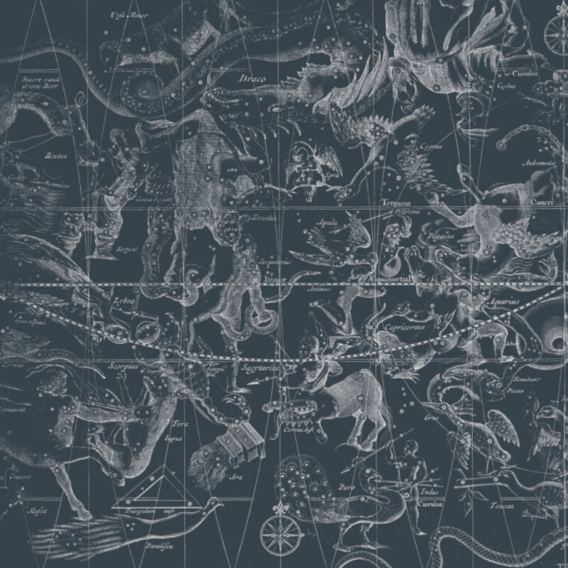 STAR CHART DARK GREY BLUE €45m2