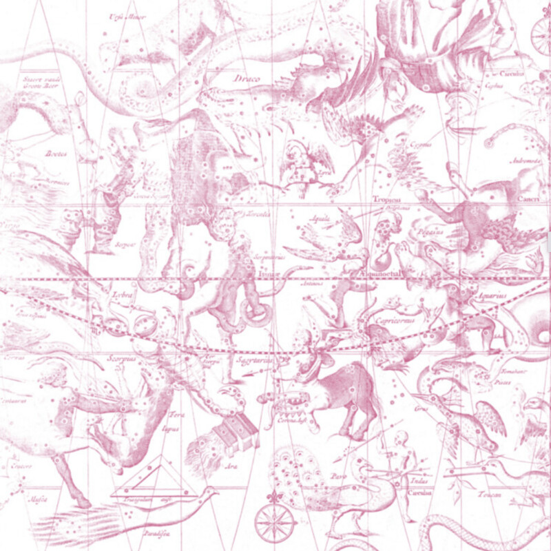 STAR CHART DARK PINK €45m2