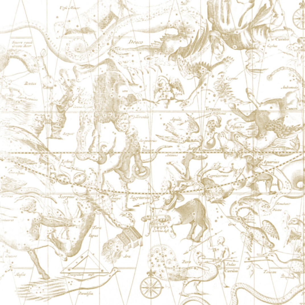 STAR CHART DARK YELLOW €45m2