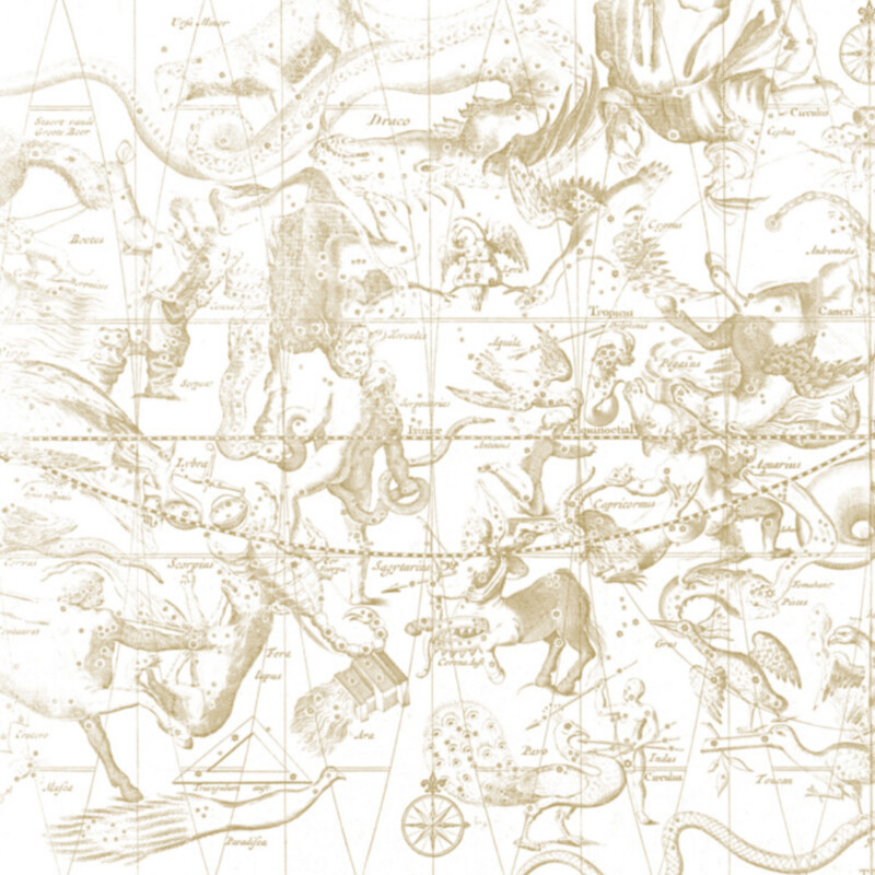 STAR CHART DARK YELLOW €45m2