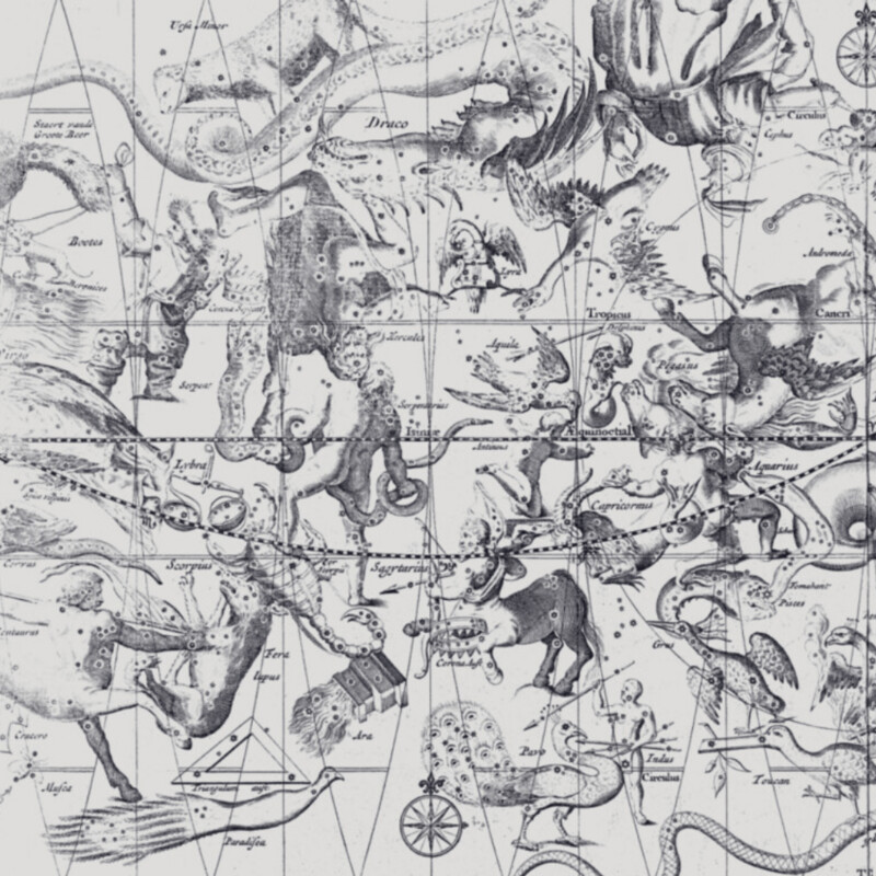 STAR CHART DARK BLUE €45m2