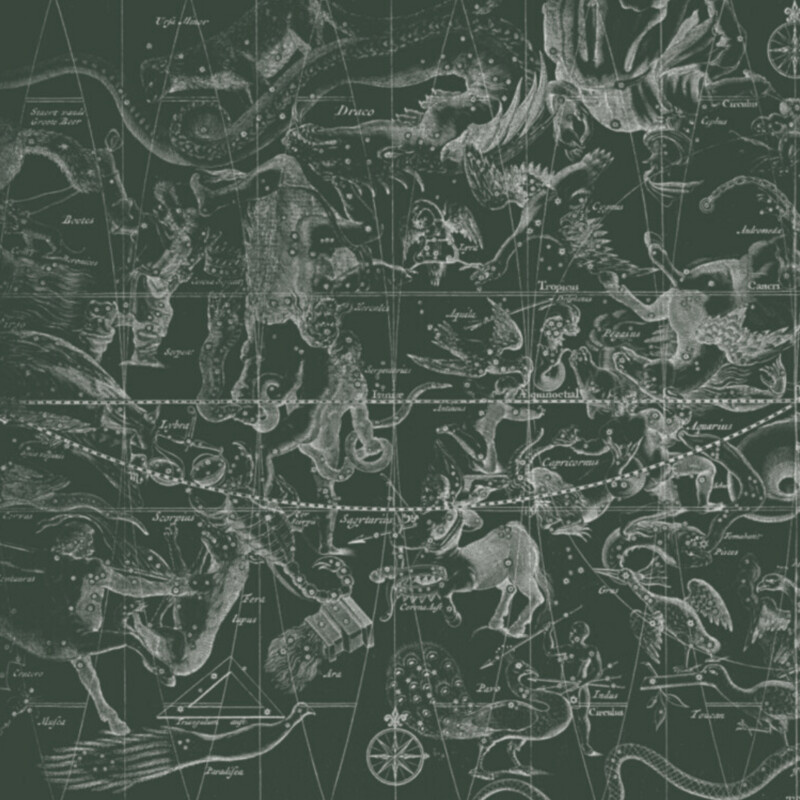 STAR CHART DARK GREEN €45m2