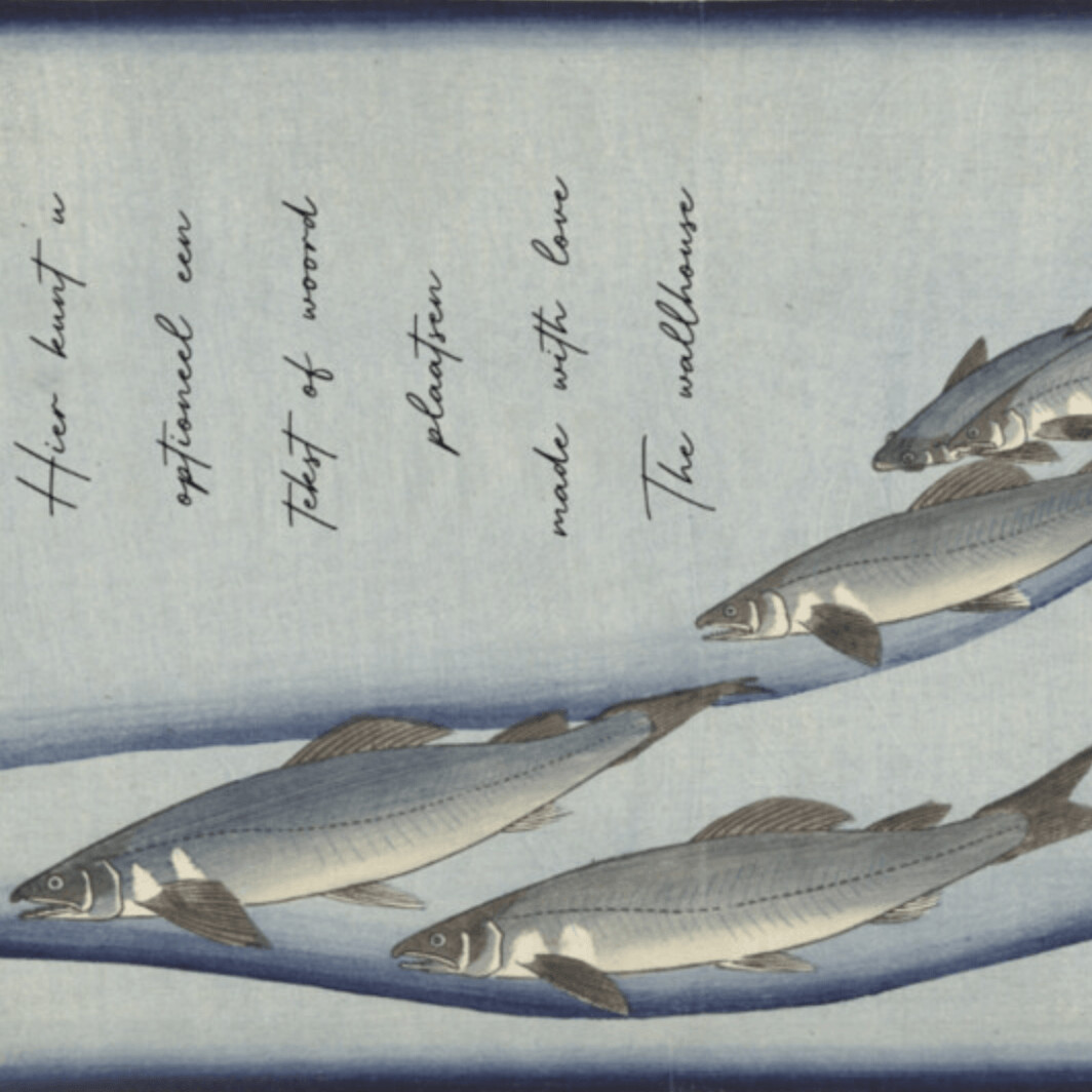 CATCH OF THE DAY  €49.50m2