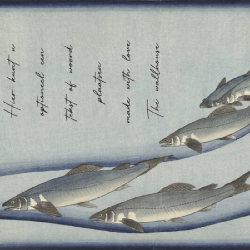 CATCH OF THE DAY  €49.50m2