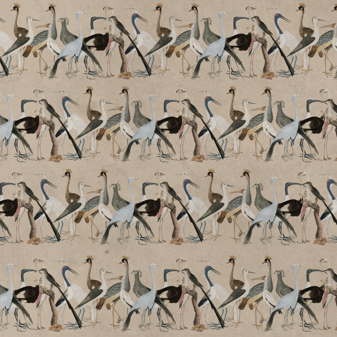 IBIS PARADE BEIGE-GOLD €45.00m2