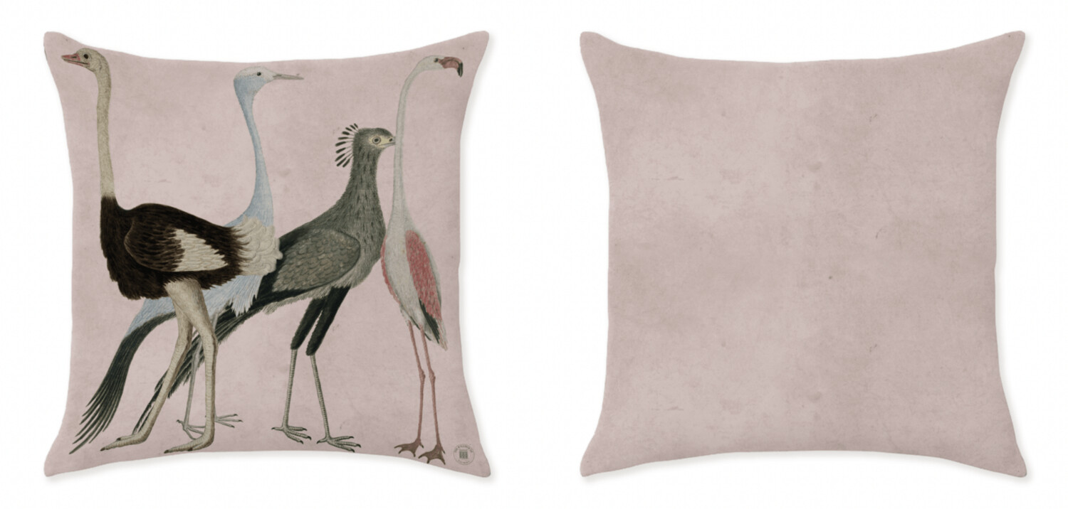 IBIS PARADE PINK ROSE CUSHIONS