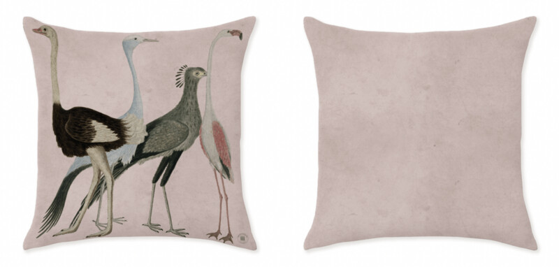 IBIS PARADE PINK ROSE CUSHIONS