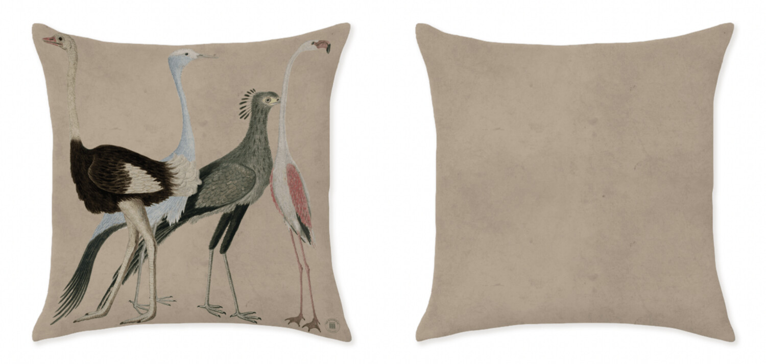 IBIS PARADE BEIGE GOLD CUSHIONS
