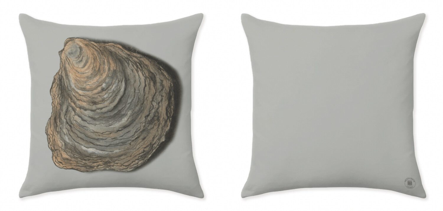 THE OYSTER  ICE BLUE CLOSE UP CUSHIONS
