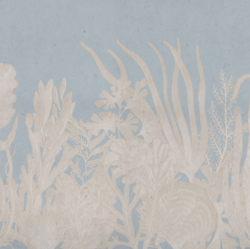 CORAL BLUE / NUDE €45.00m2