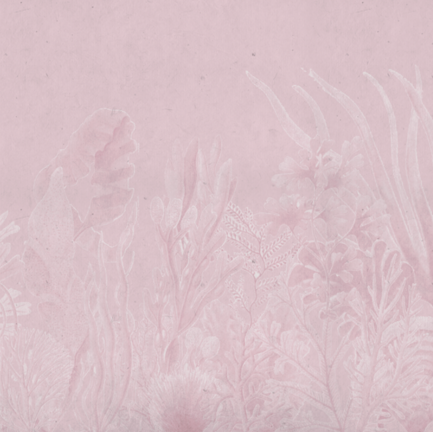 CORAL PINK €45.00m2