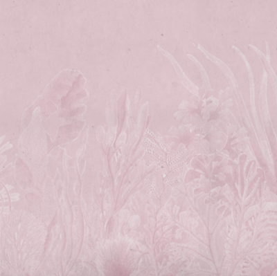 CORAL PINK €45.00m2