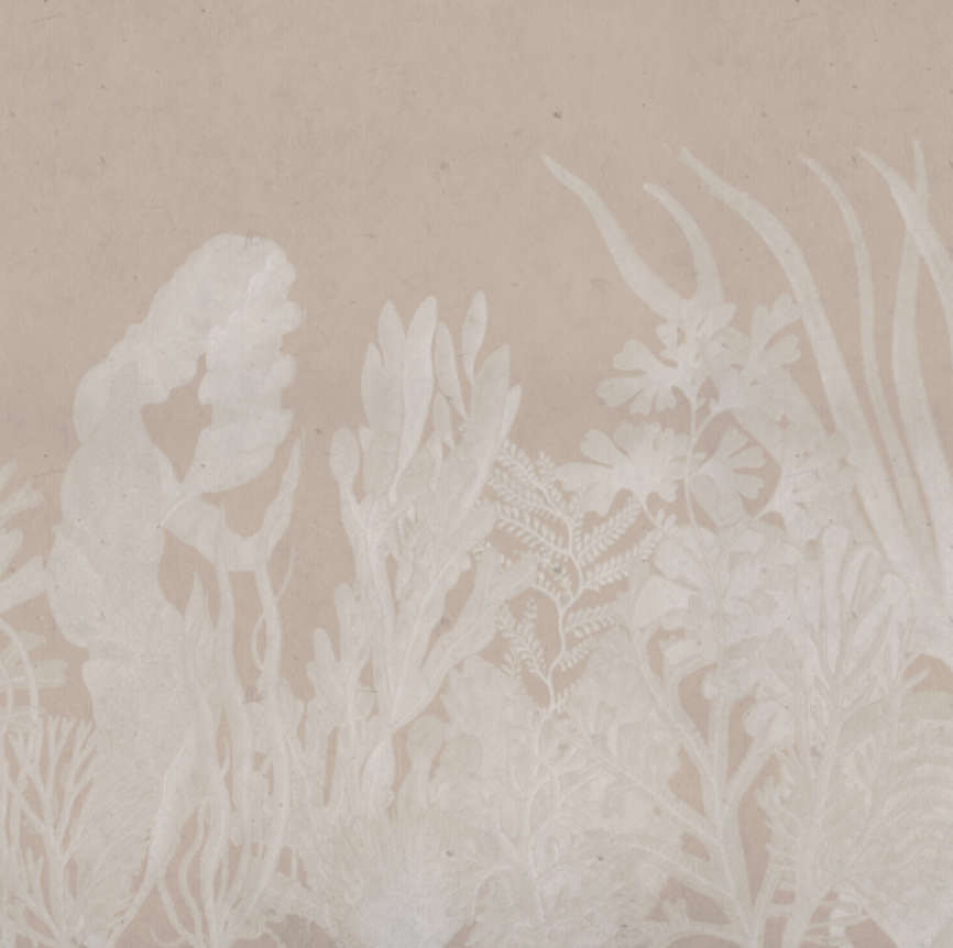 CORAL NUDE / WHITE €45.00m2