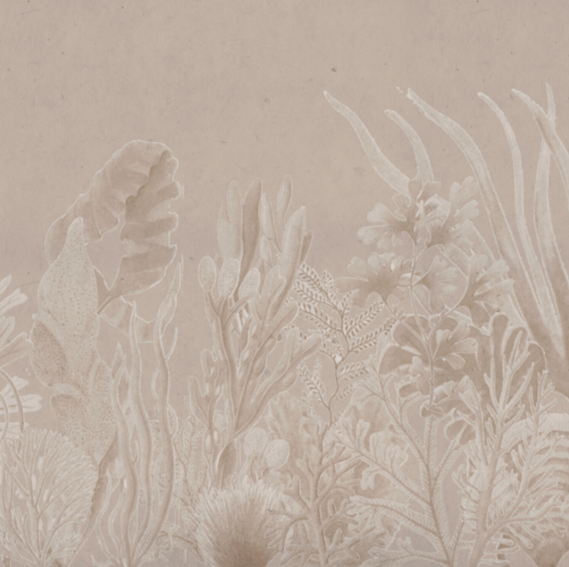 CORAL NUDE €45.00m2