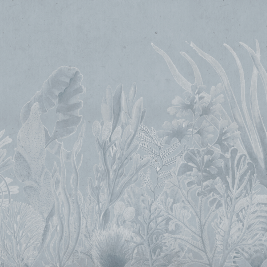 CORAL BLUE €45.00m2