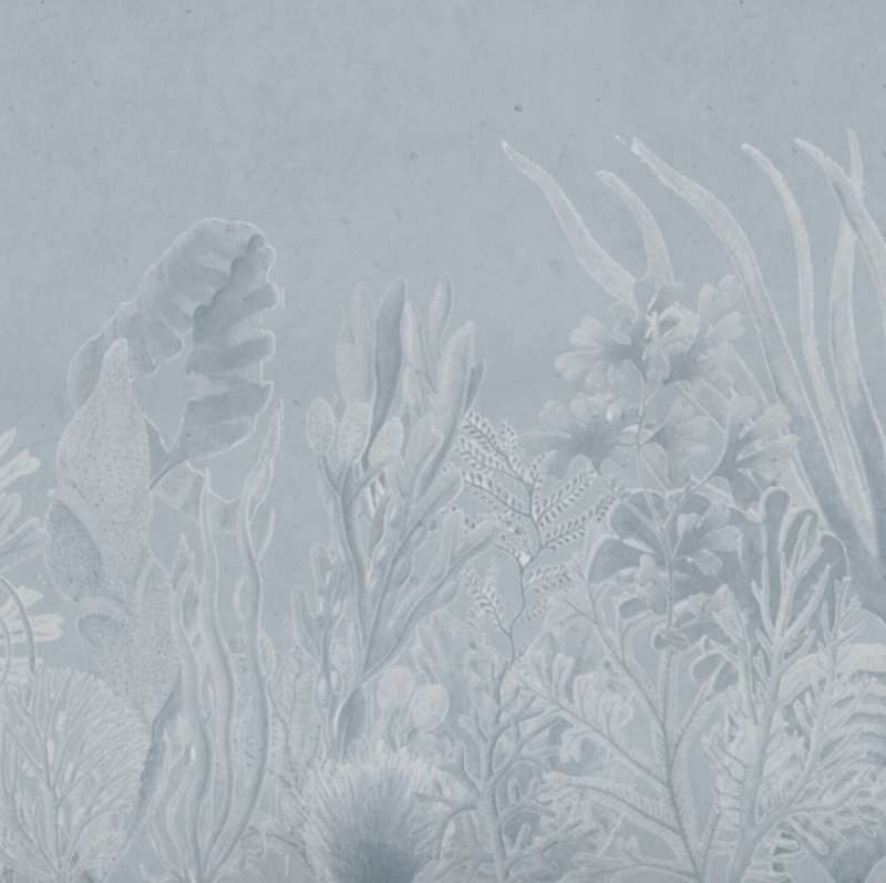 CORAL BLUE €45.00m2