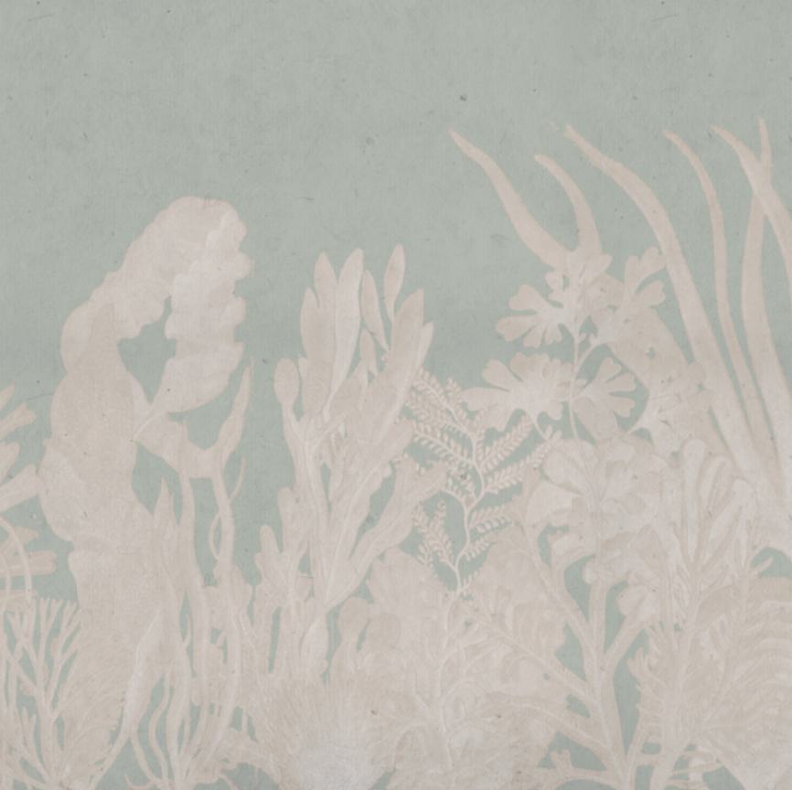 CORAL GREEN / NUDE €45.00m2
