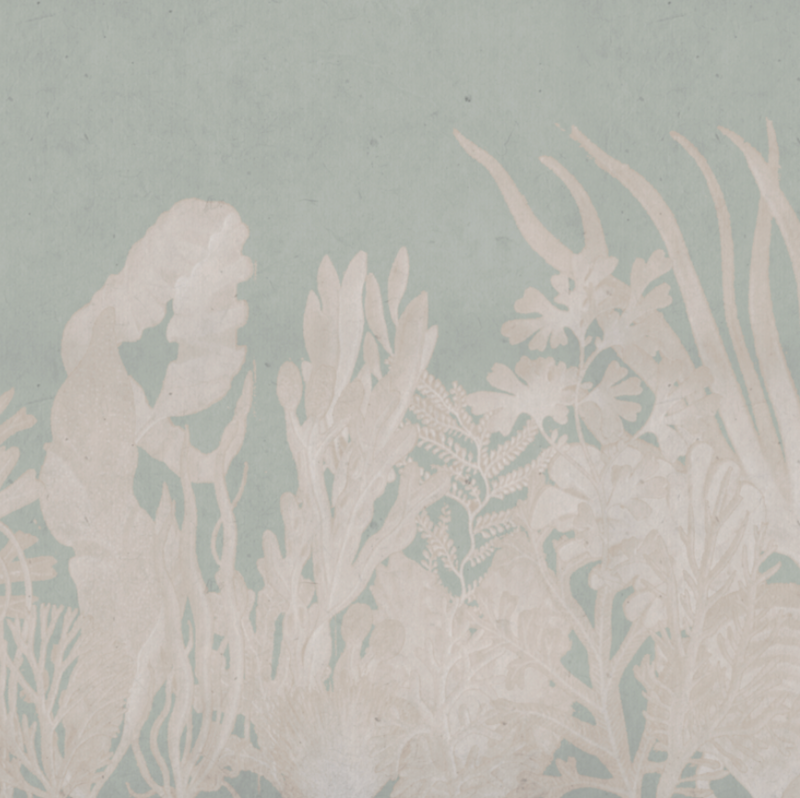 CORAL GREEN / NUDE €45.00m2